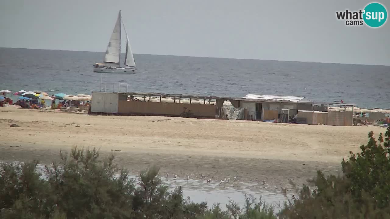 Webcam Chia – Live View of Su Giudeu Beach