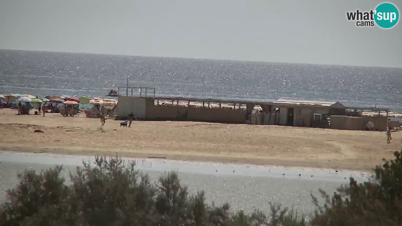Webcam Chia – Vue en direct de la plage Su Giudeu