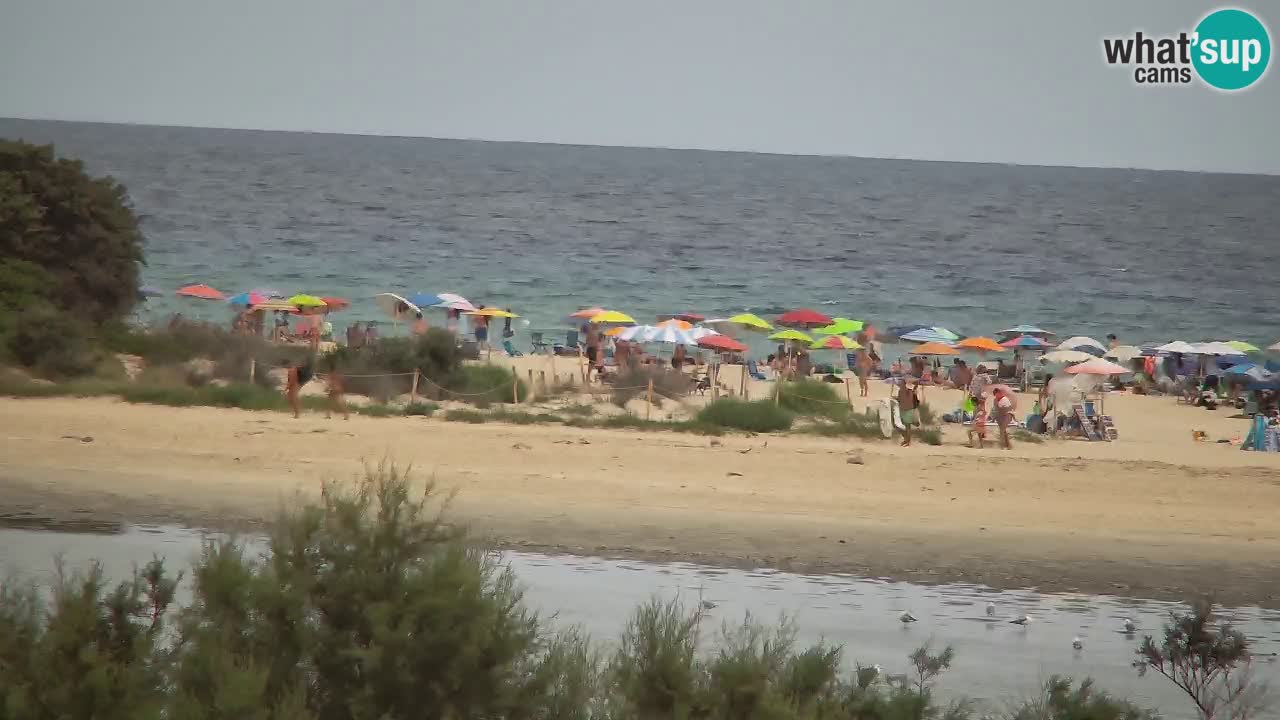 Webcam Chia – Liveblick auf den Strand Su Giudeu