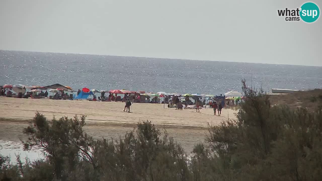 Webcam Chia – Live View of Su Giudeu Beach
