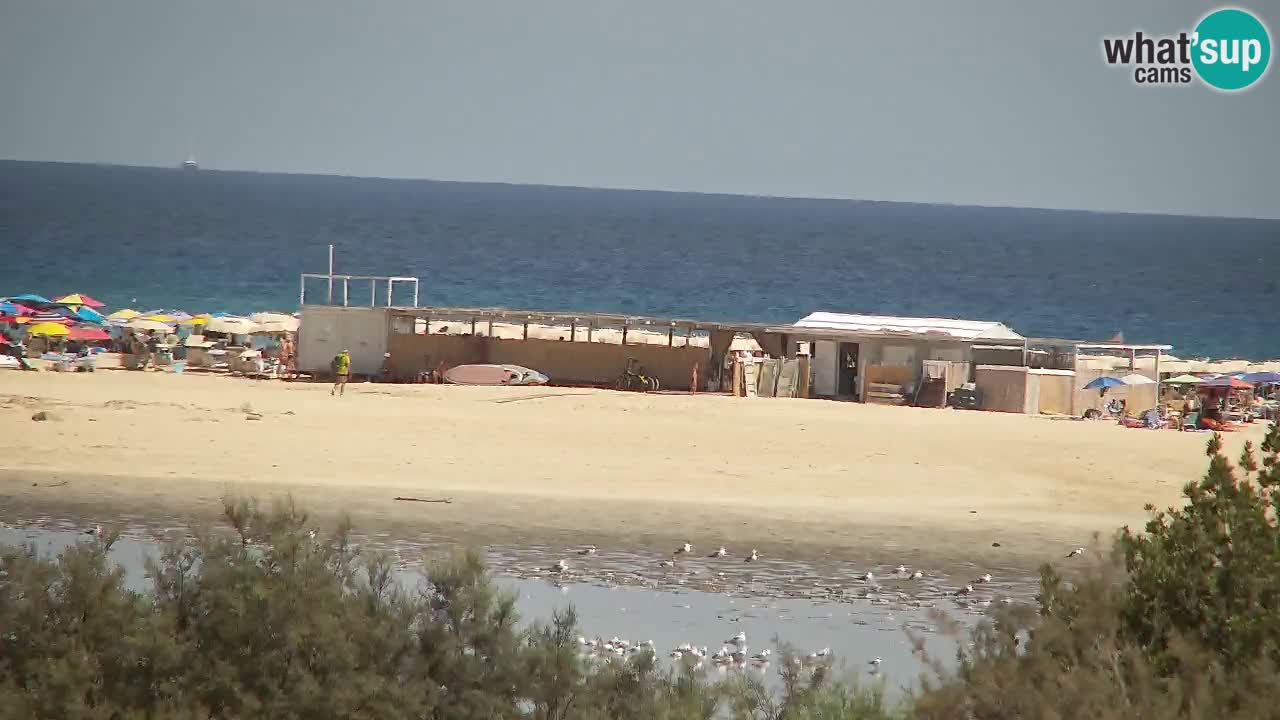 Webcam Chia – Vue en direct de la plage Su Giudeu