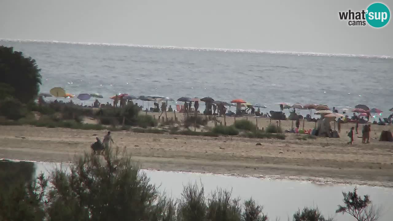 Webcam Chia – Live View of Su Giudeu Beach