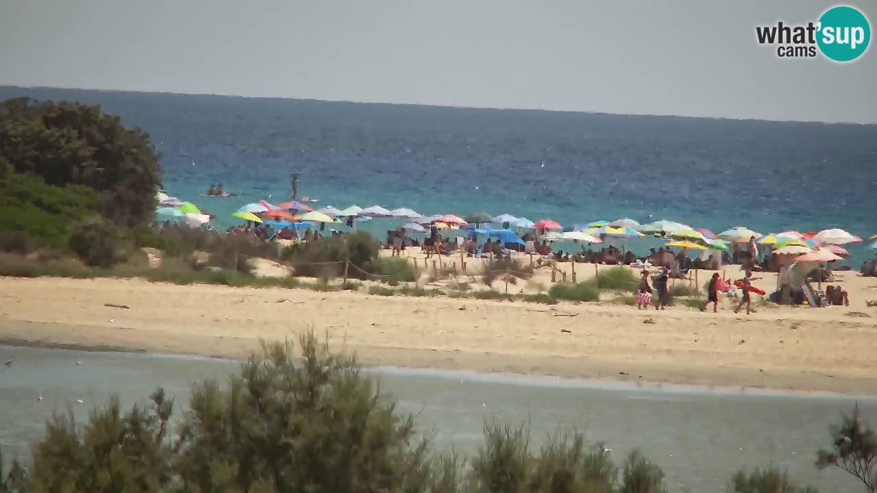 Webcam Chia – Live View of Su Giudeu Beach