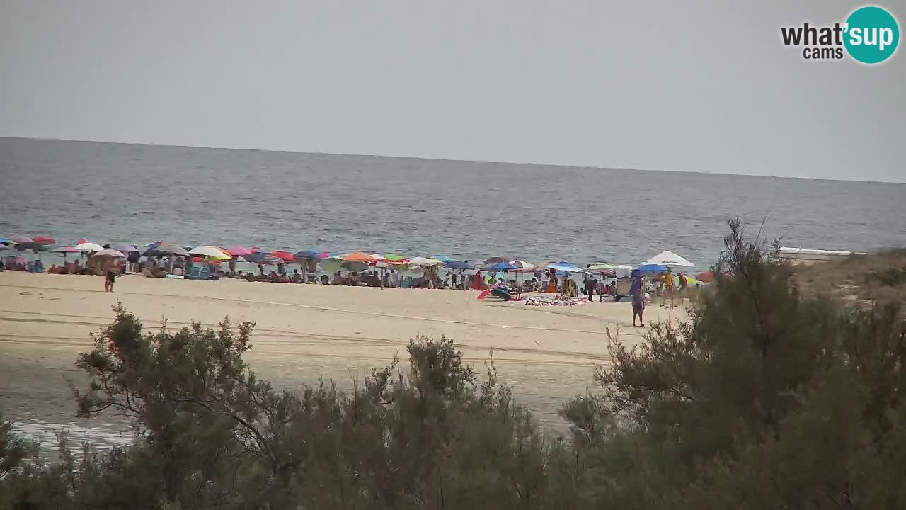 Spletna kamera Chia – Pogled v živo na plažo Su Giudeu