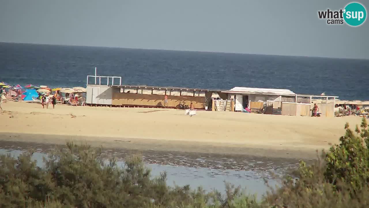 Webcam Chia – Live View of Su Giudeu Beach