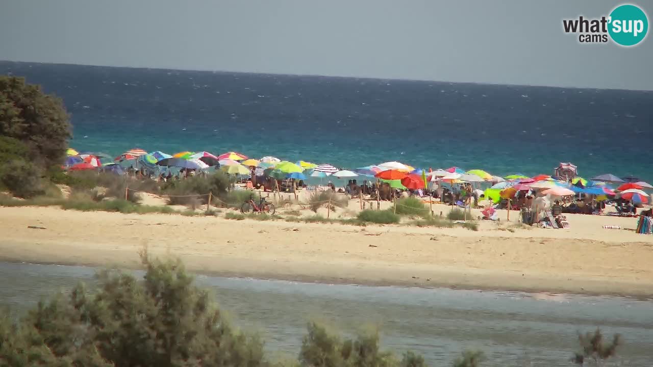 Webcam Chia – Live View of Su Giudeu Beach