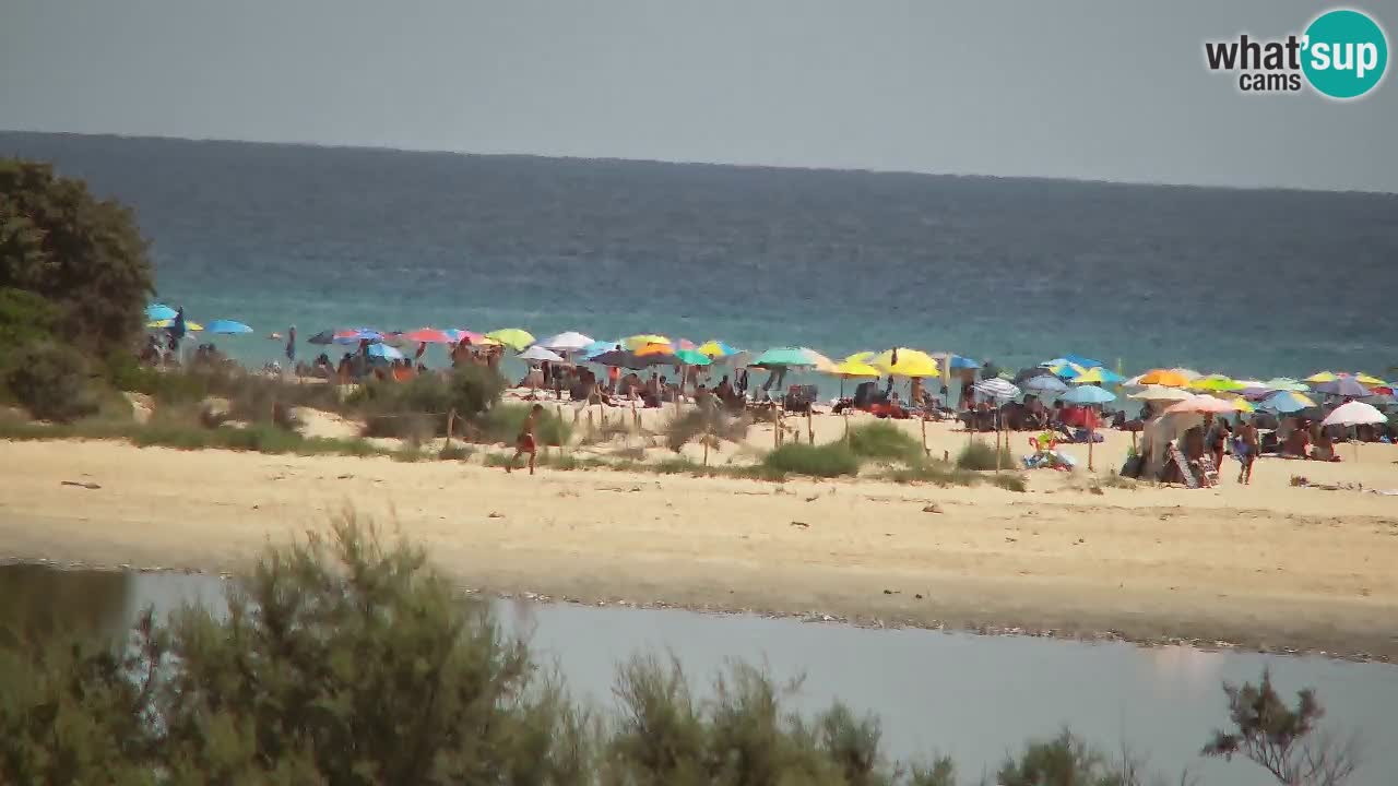 Webcam Chia – Live View of Su Giudeu Beach
