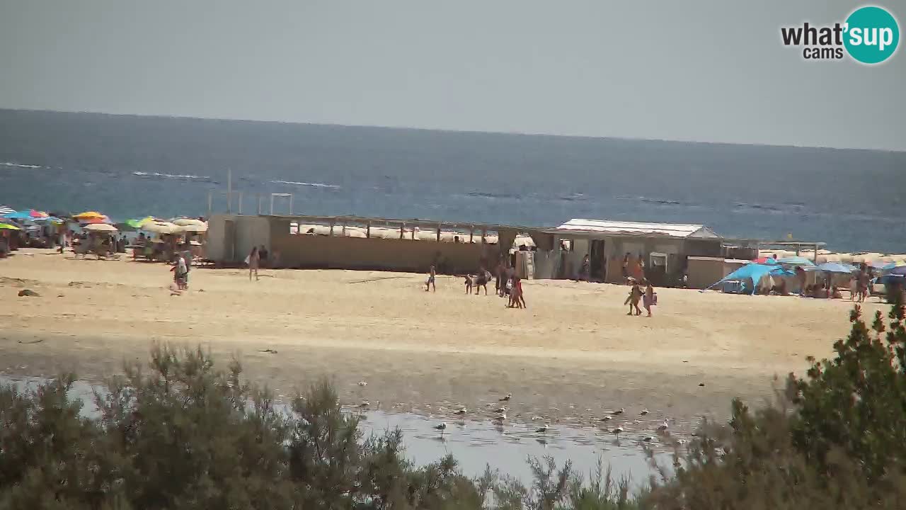 Webcam Chia – Live View of Su Giudeu Beach