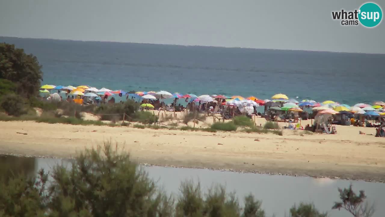 Webcam Chia – Live View of Su Giudeu Beach