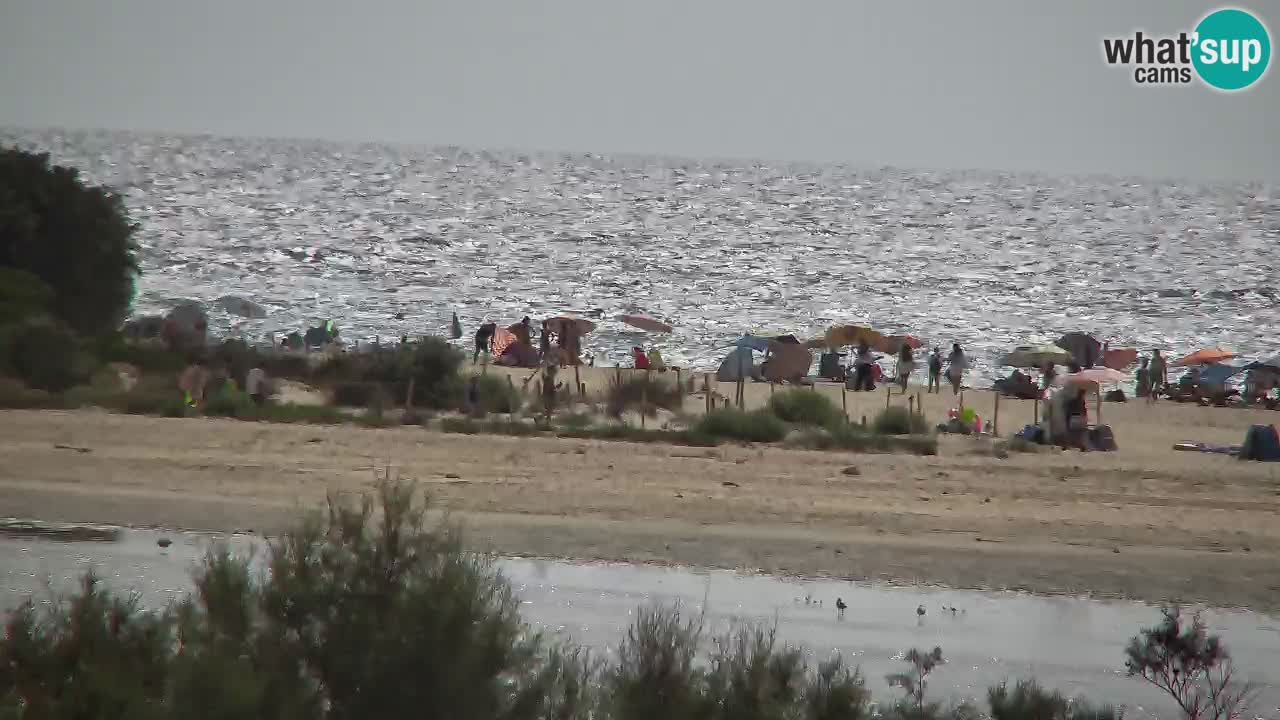 Webcam Chia – Liveblick auf den Strand Su Giudeu