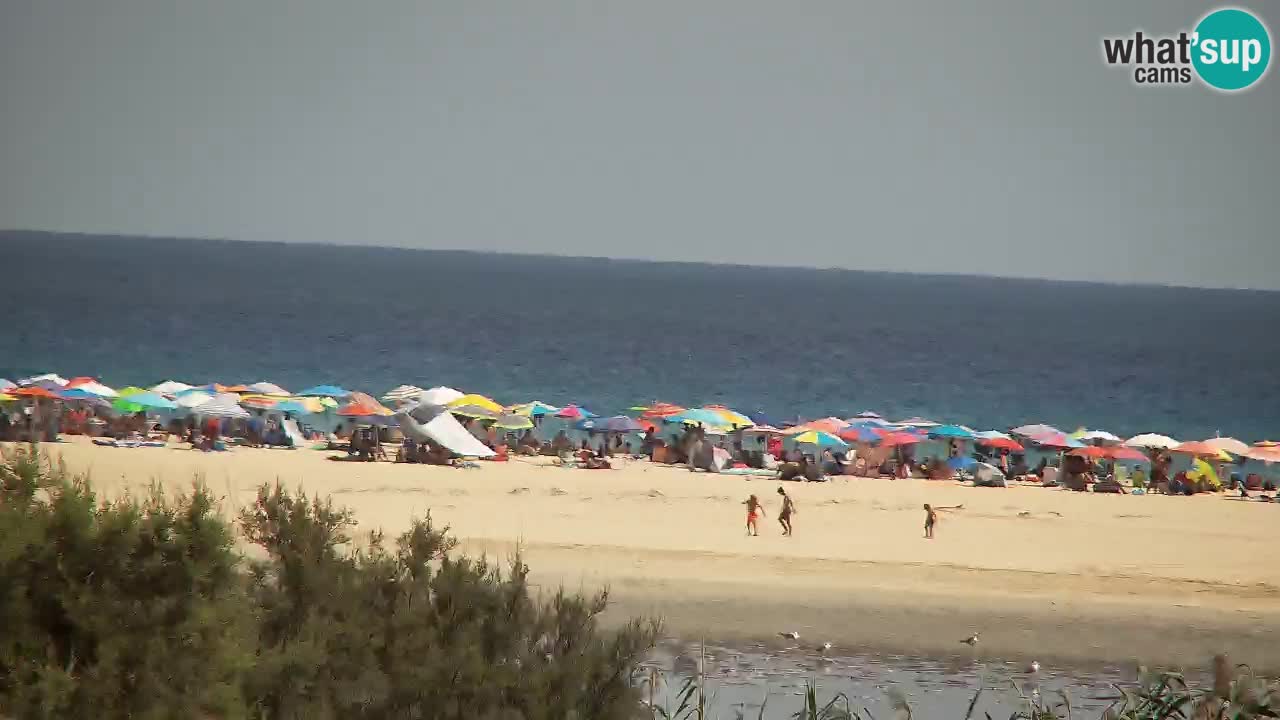 Webcam Chia – Live View of Su Giudeu Beach
