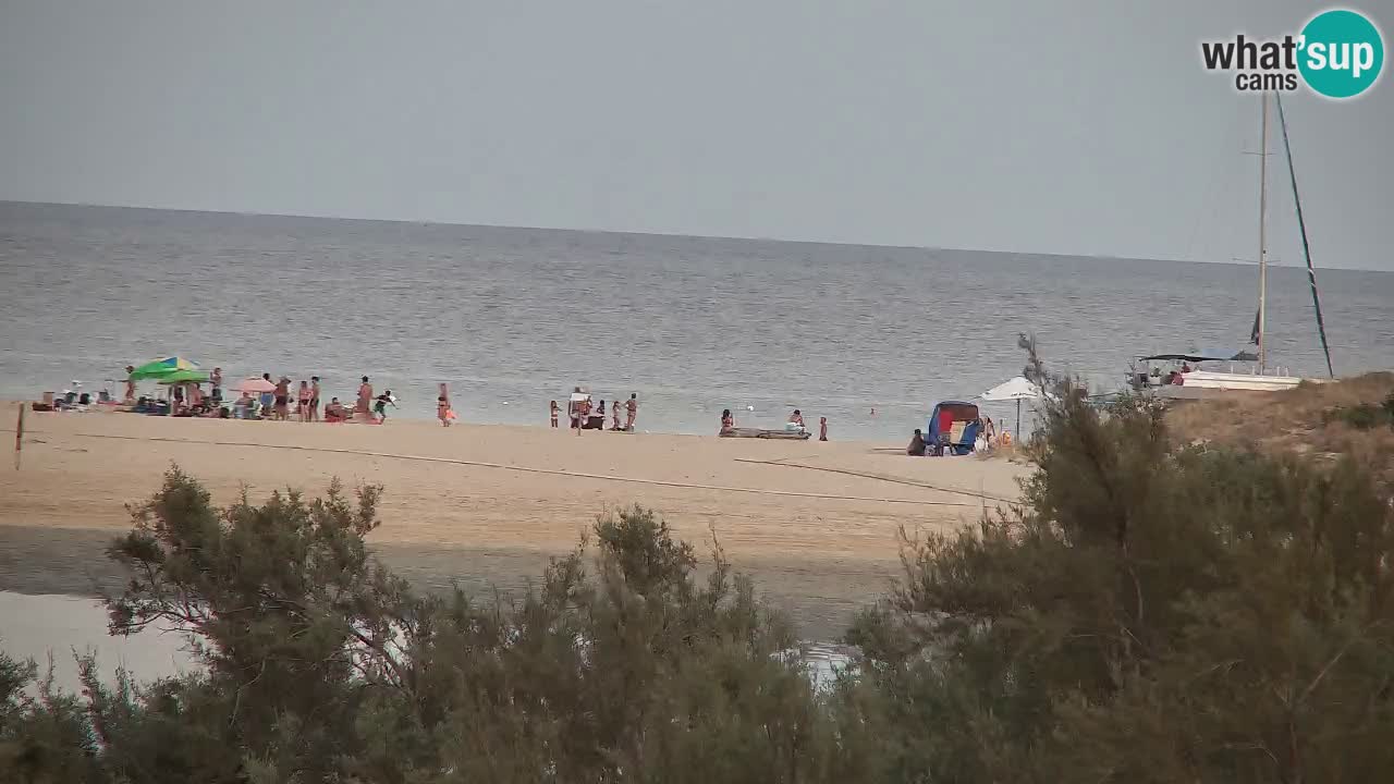 Webcam Chia – Live View of Su Giudeu Beach
