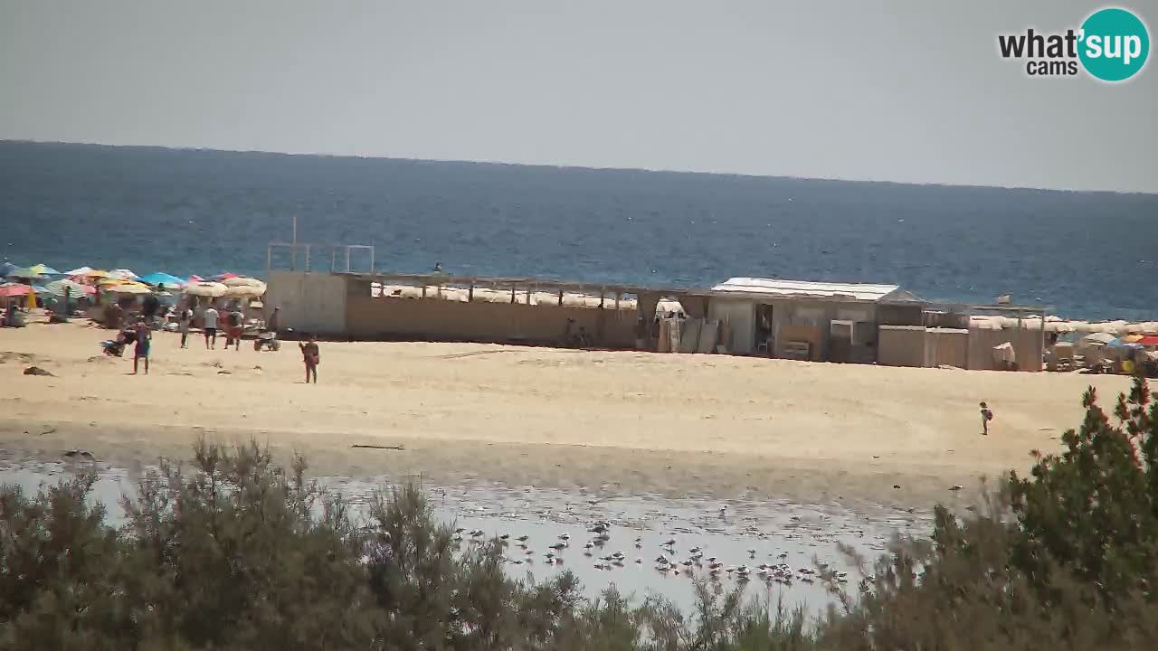 Webcam Chia – Live View of Su Giudeu Beach
