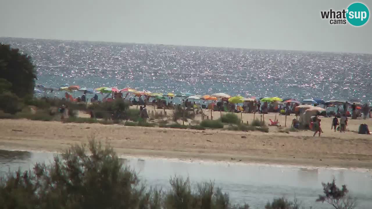 Webcam Chia – Live View of Su Giudeu Beach