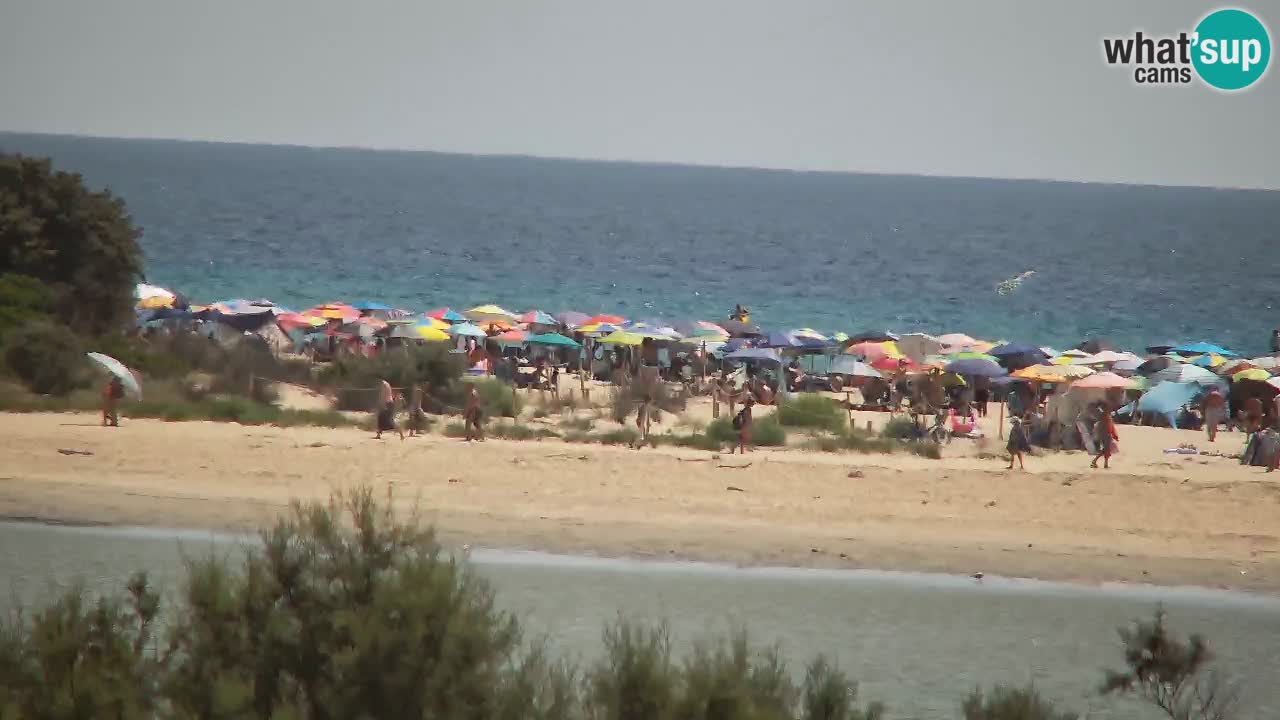 Webcam Chia – Live View of Su Giudeu Beach