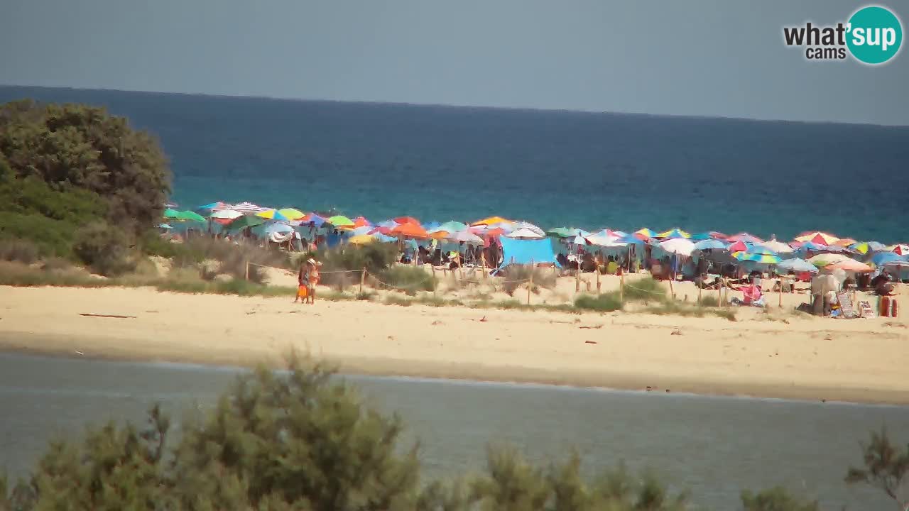 Web kamera Chia – Pogled uživo na plažu Su Giudeu
