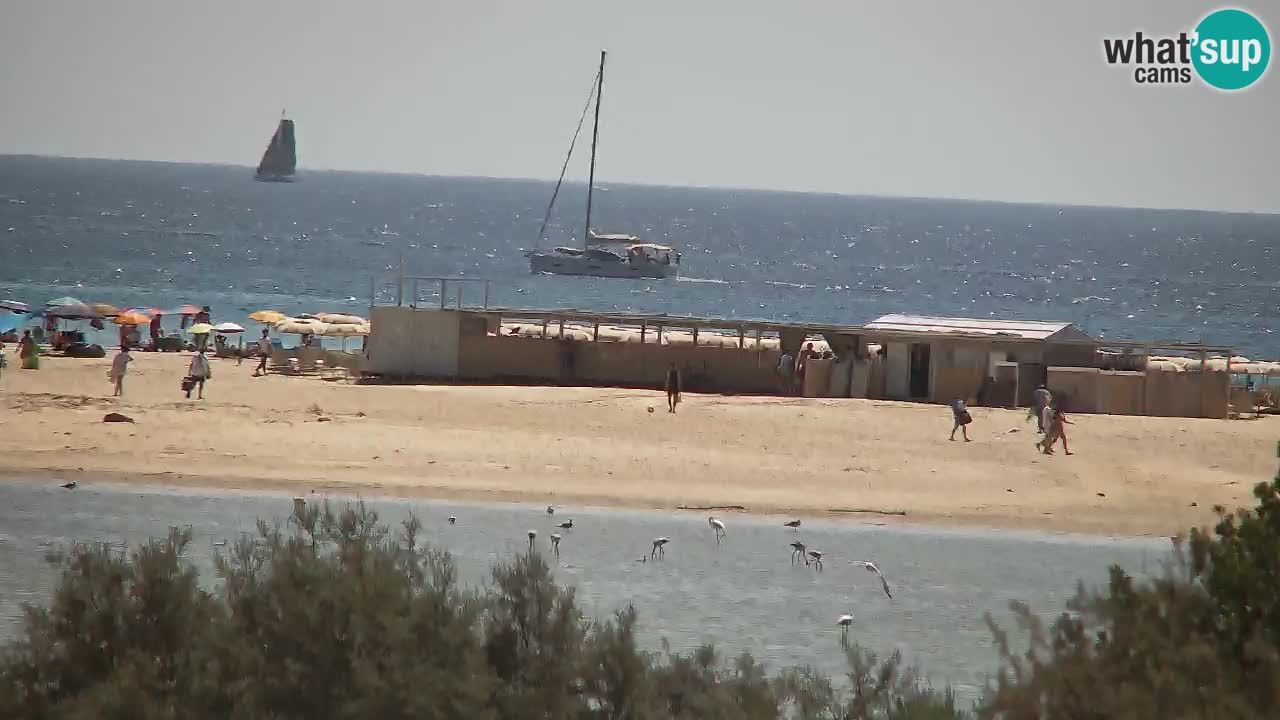 Webcam Chia – Vue en direct de la plage Su Giudeu