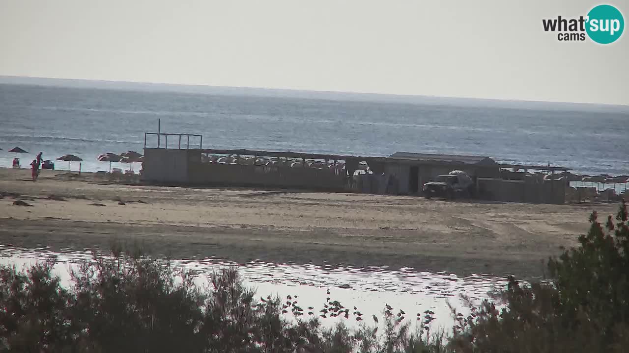 Webcam Chia – Live View of Su Giudeu Beach