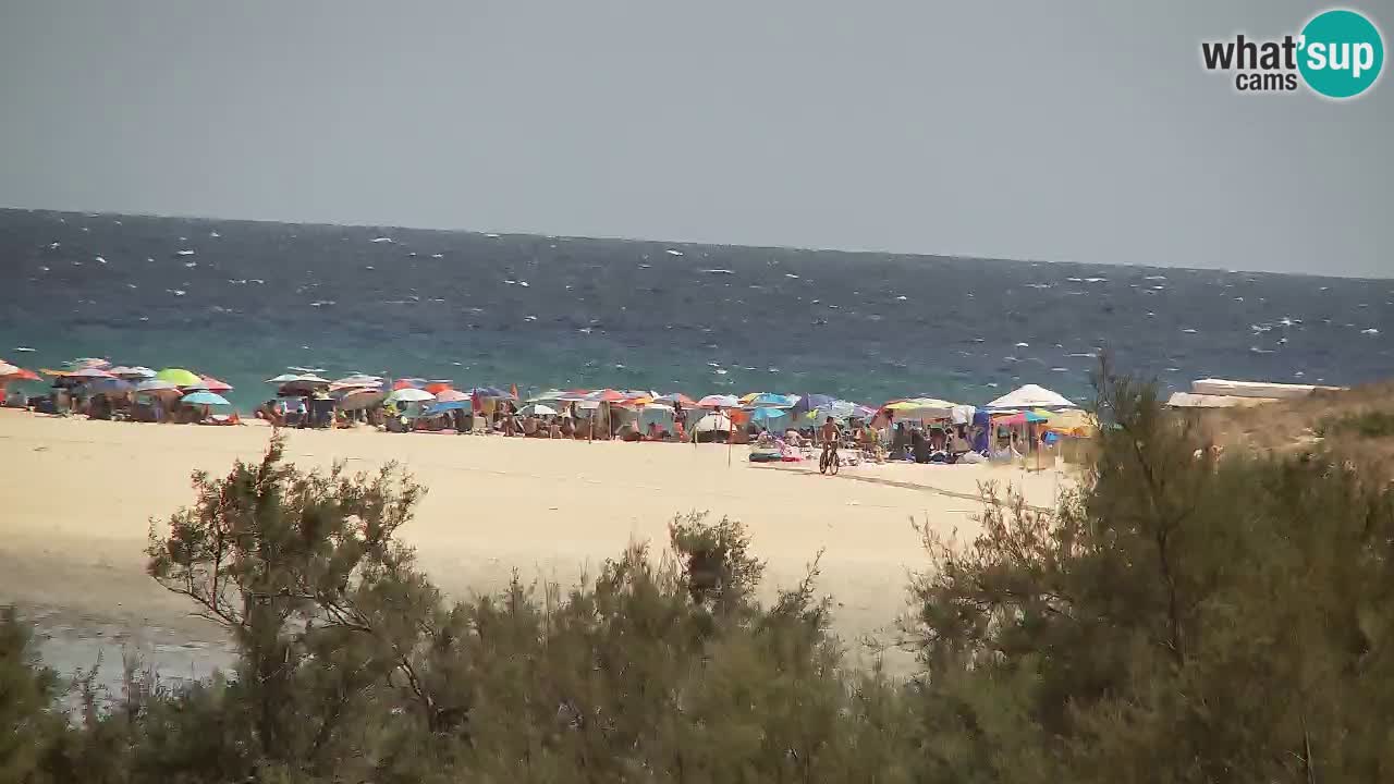 Webcam Chia – Live View of Su Giudeu Beach