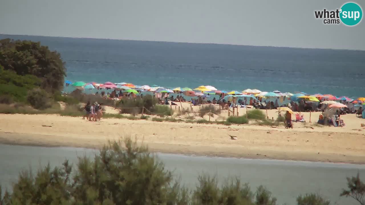 Webcam Chia – Liveblick auf den Strand Su Giudeu