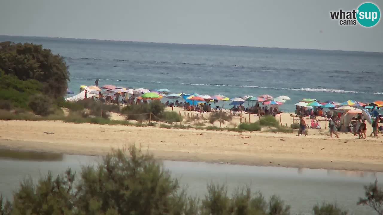 Webcam Chia – Spiaggia Su Giudeu in diretta
