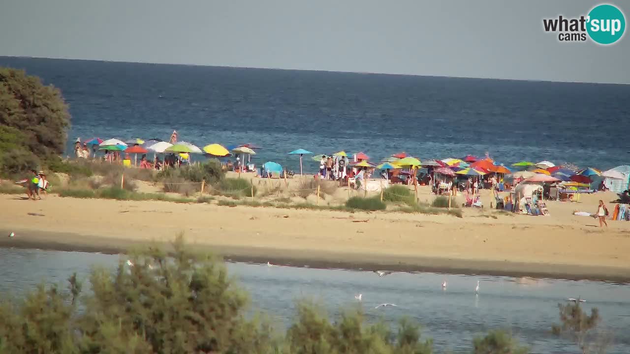 Webcam Chia – Vue en direct de la plage Su Giudeu