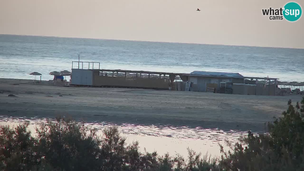 Webcam Chia – Live View of Su Giudeu Beach