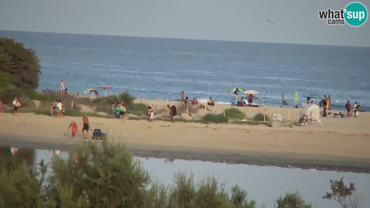 Webcam Chia – Live View of Su Giudeu Beach