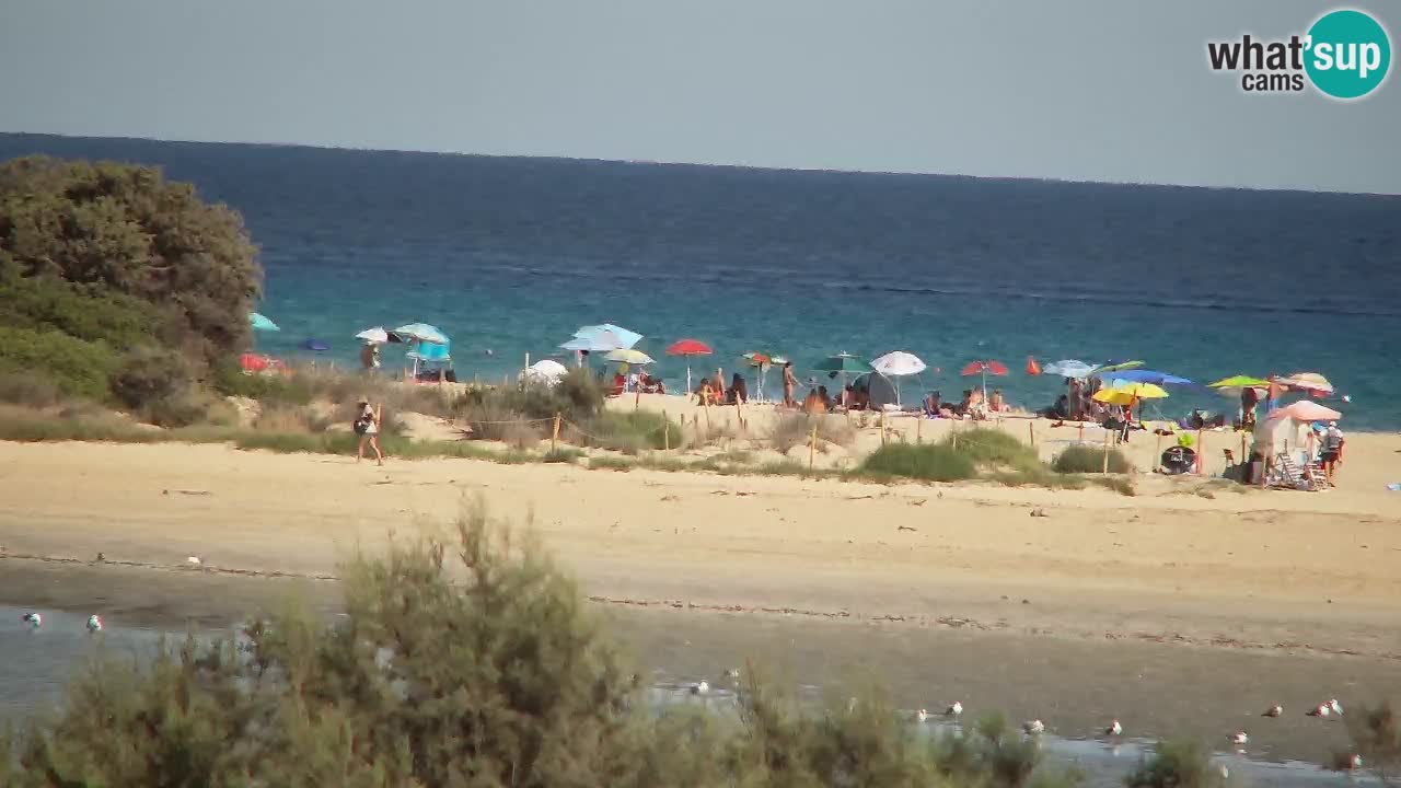 Webcam Chia – Liveblick auf den Strand Su Giudeu