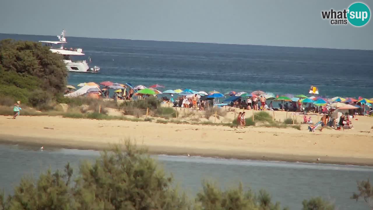 Webcam Chia – Liveblick auf den Strand Su Giudeu