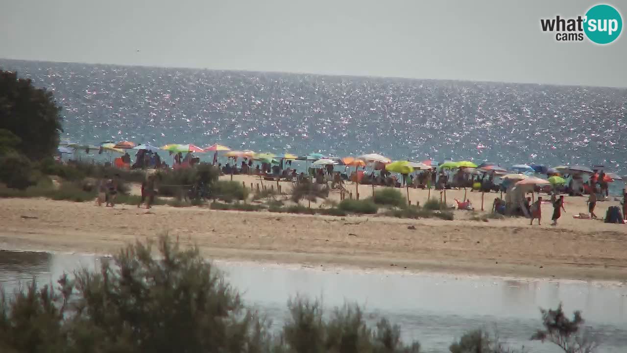 Webcam Chia – Live View of Su Giudeu Beach