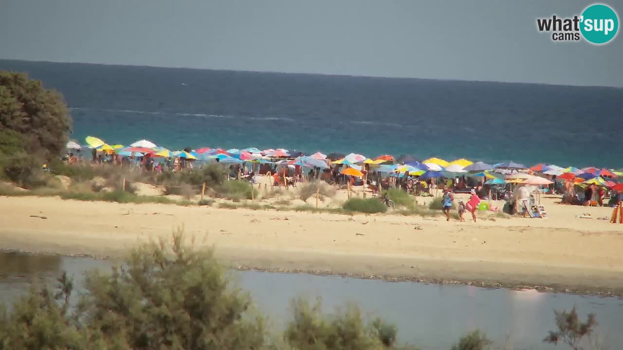 Webcam Chia – Vista en directo de la playa Su Giudeu