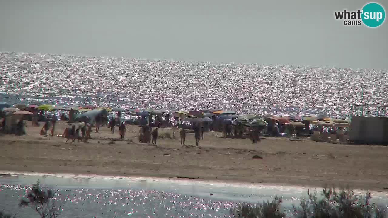 Webcam Chia – Live View of Su Giudeu Beach