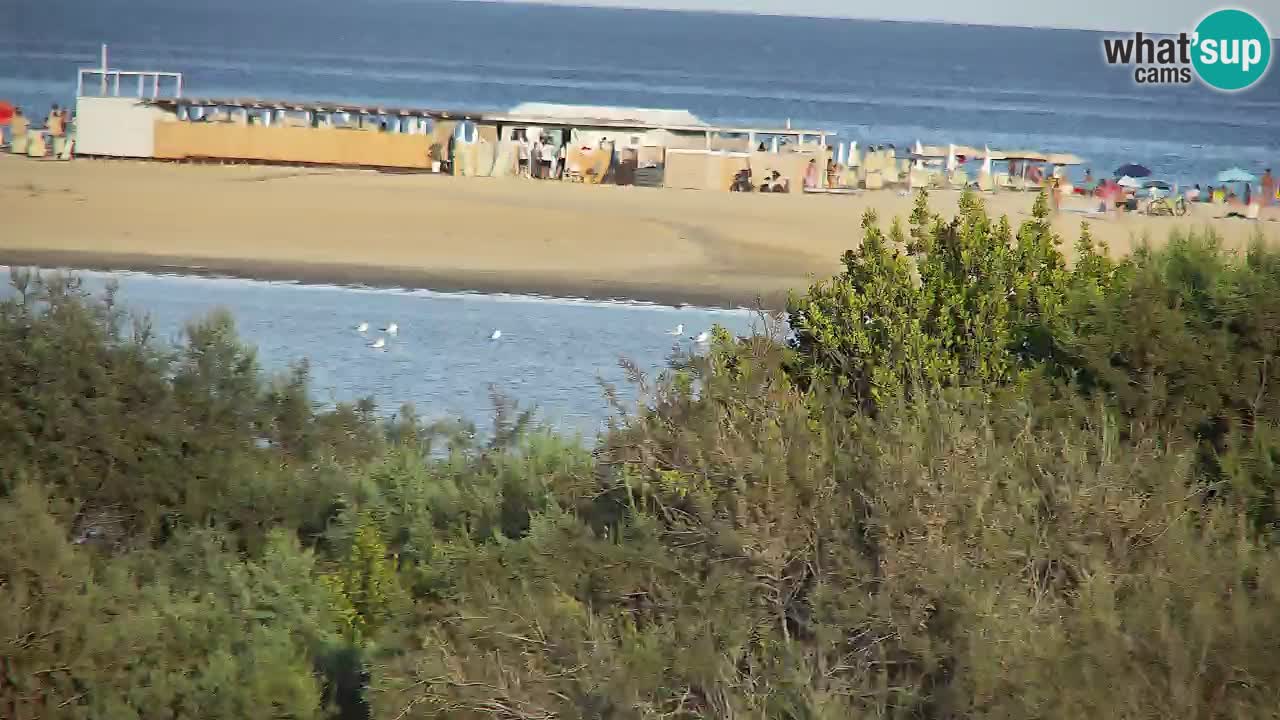 Webcam Chia – Vue en direct de la plage Su Giudeu