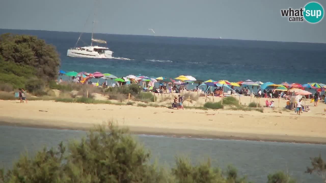 Webcam Chia – Live View of Su Giudeu Beach
