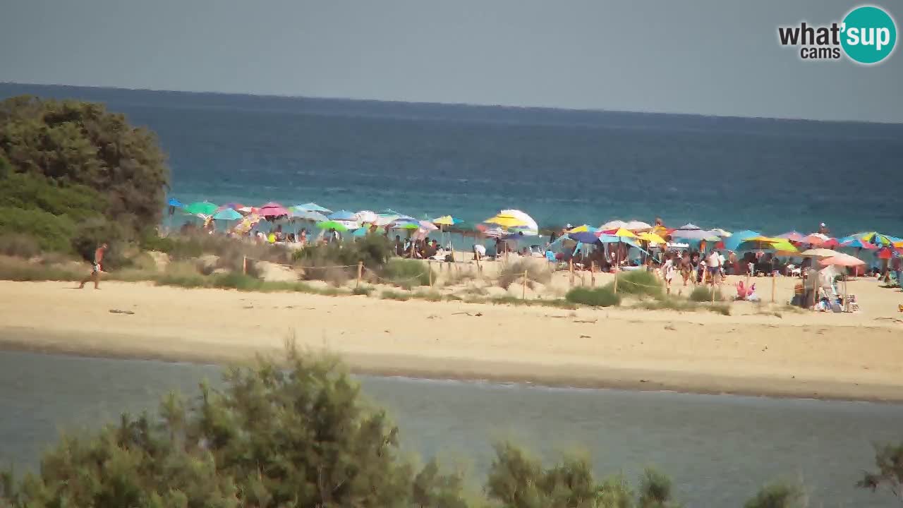 Webcam Chia – Liveblick auf den Strand Su Giudeu