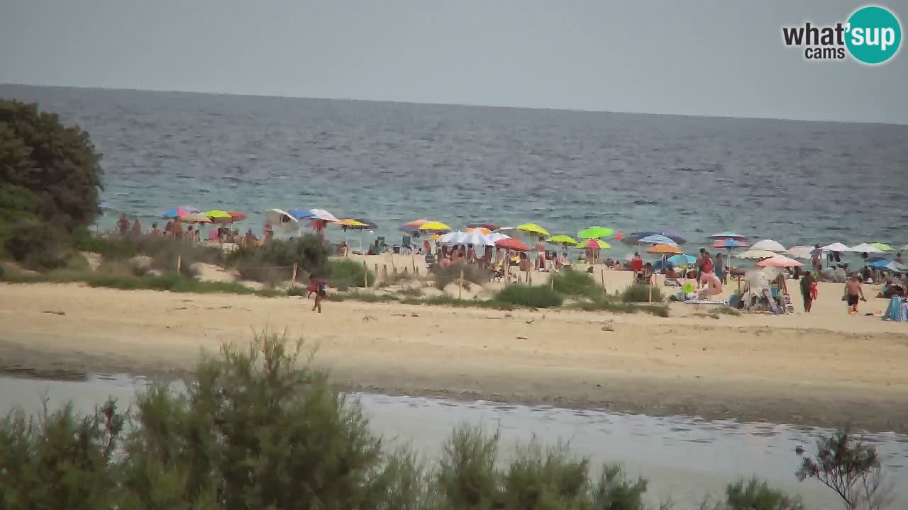 Webcam Chia – Live View of Su Giudeu Beach