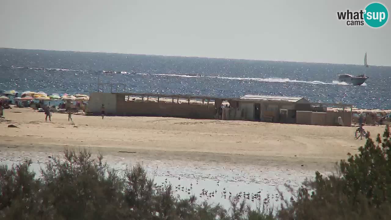 Webcam Chia – Vue en direct de la plage Su Giudeu