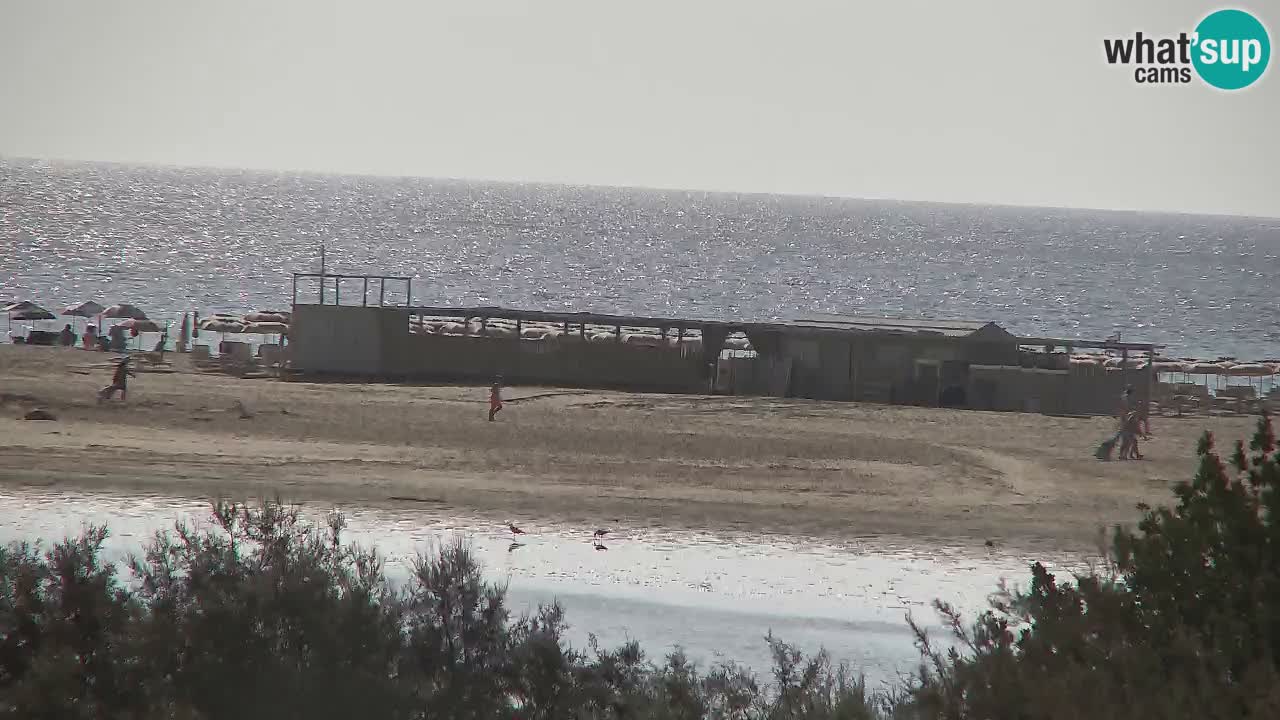 Webcam Chia – Liveblick auf den Strand Su Giudeu
