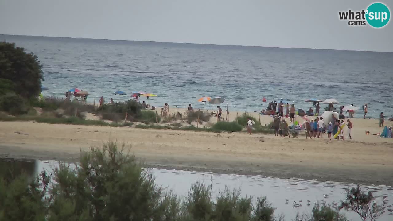 Webcam Chia – Live View of Su Giudeu Beach