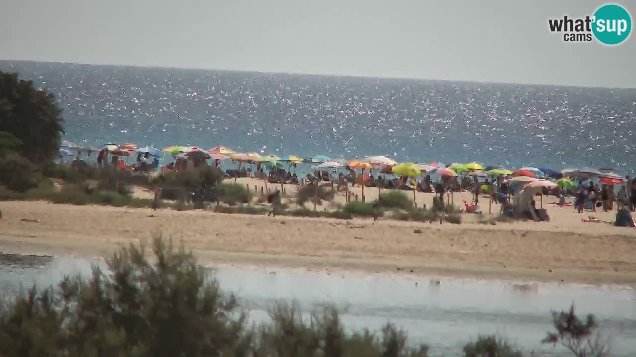 Webcam Chia – Live View of Su Giudeu Beach