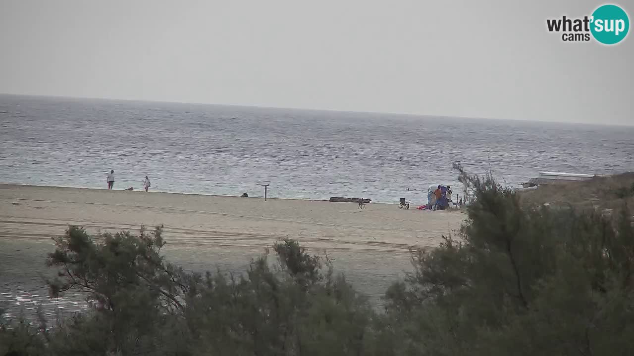Webcam Chia – Live View of Su Giudeu Beach