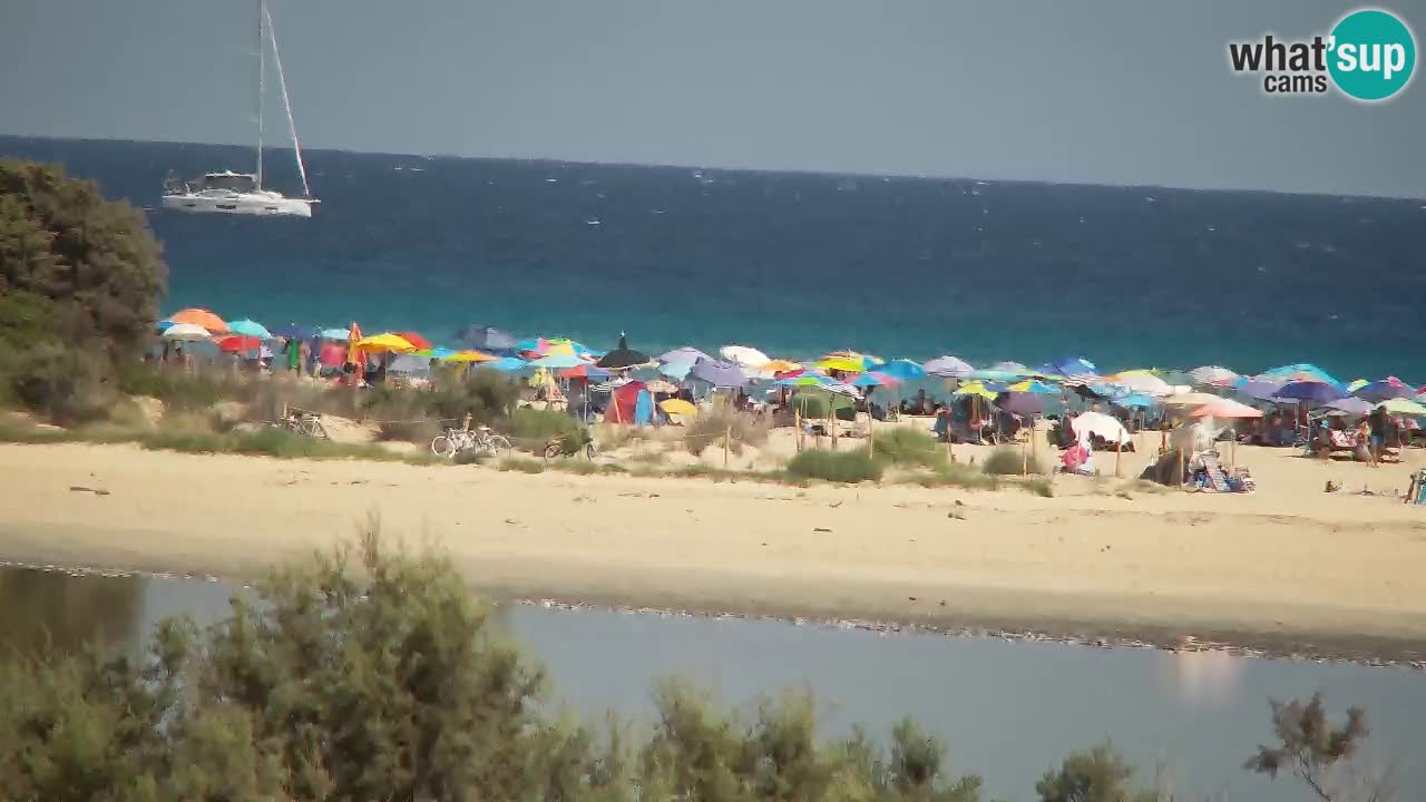 Webcam Chia – Vue en direct de la plage Su Giudeu