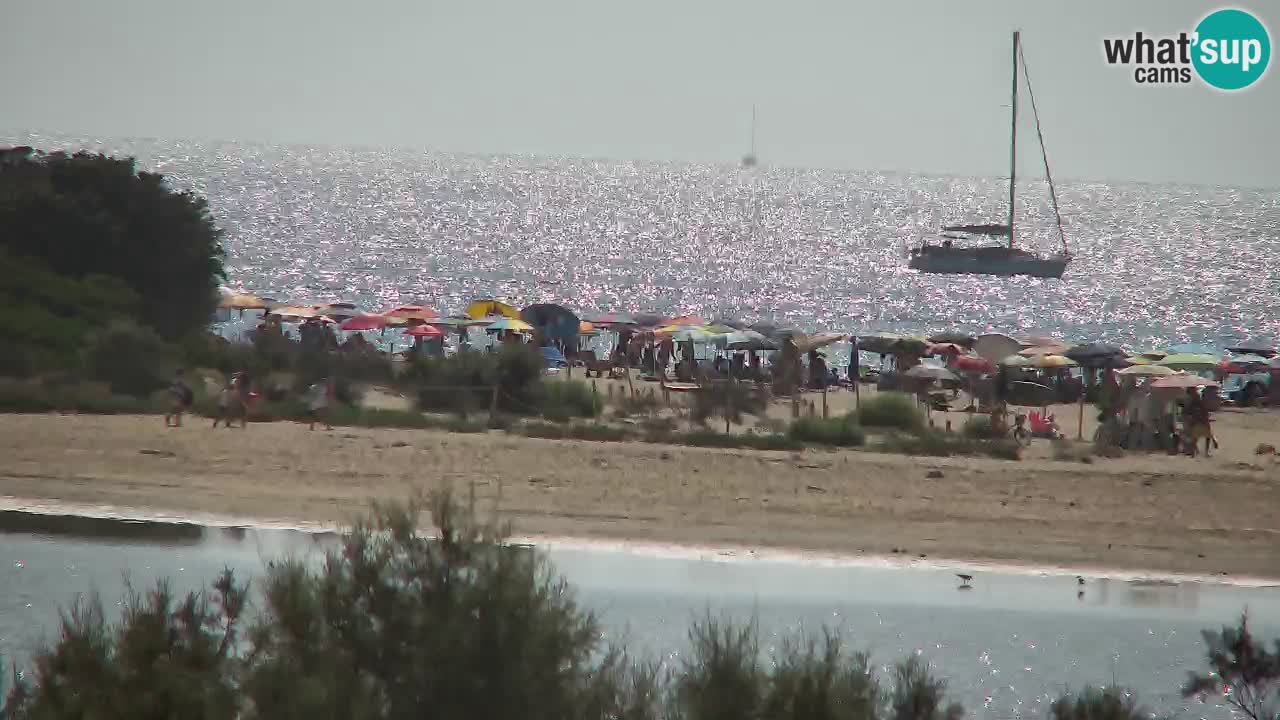 Webcam Chia – Liveblick auf den Strand Su Giudeu