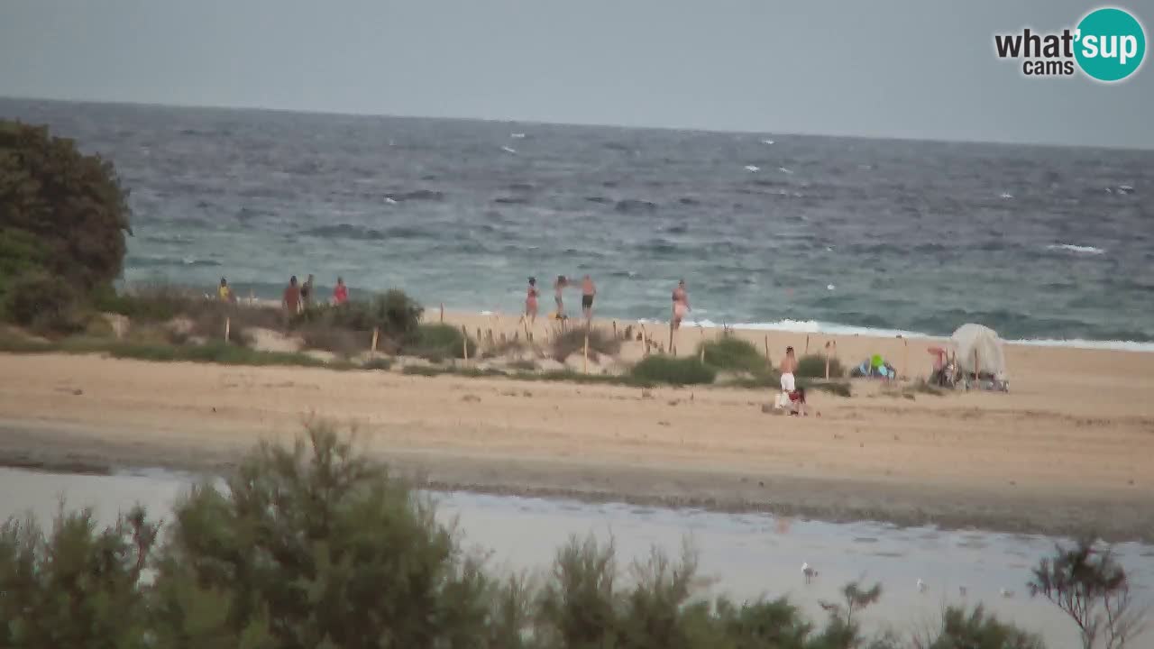Webcam Chia – Live View of Su Giudeu Beach