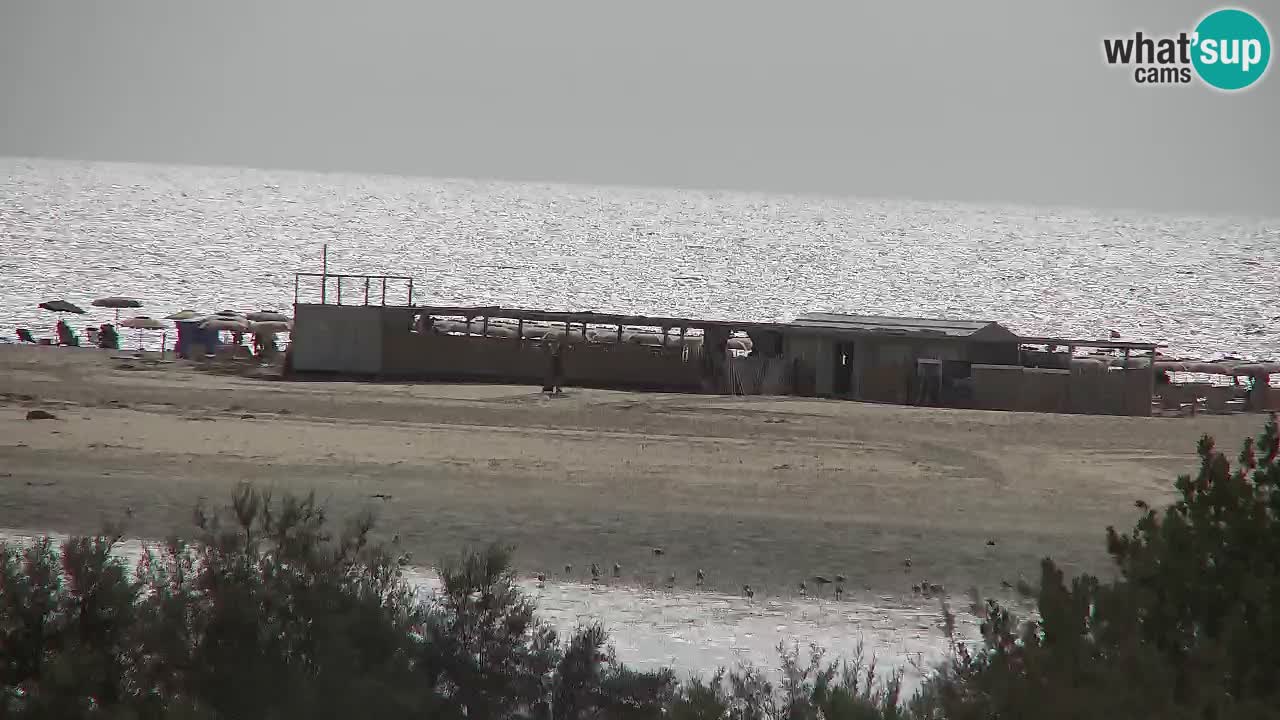 Webcam Chia – Live View of Su Giudeu Beach