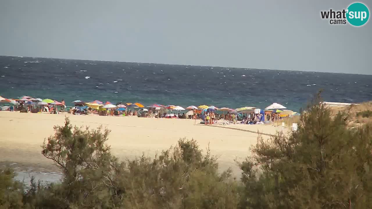 Webcam Chia – Live View of Su Giudeu Beach