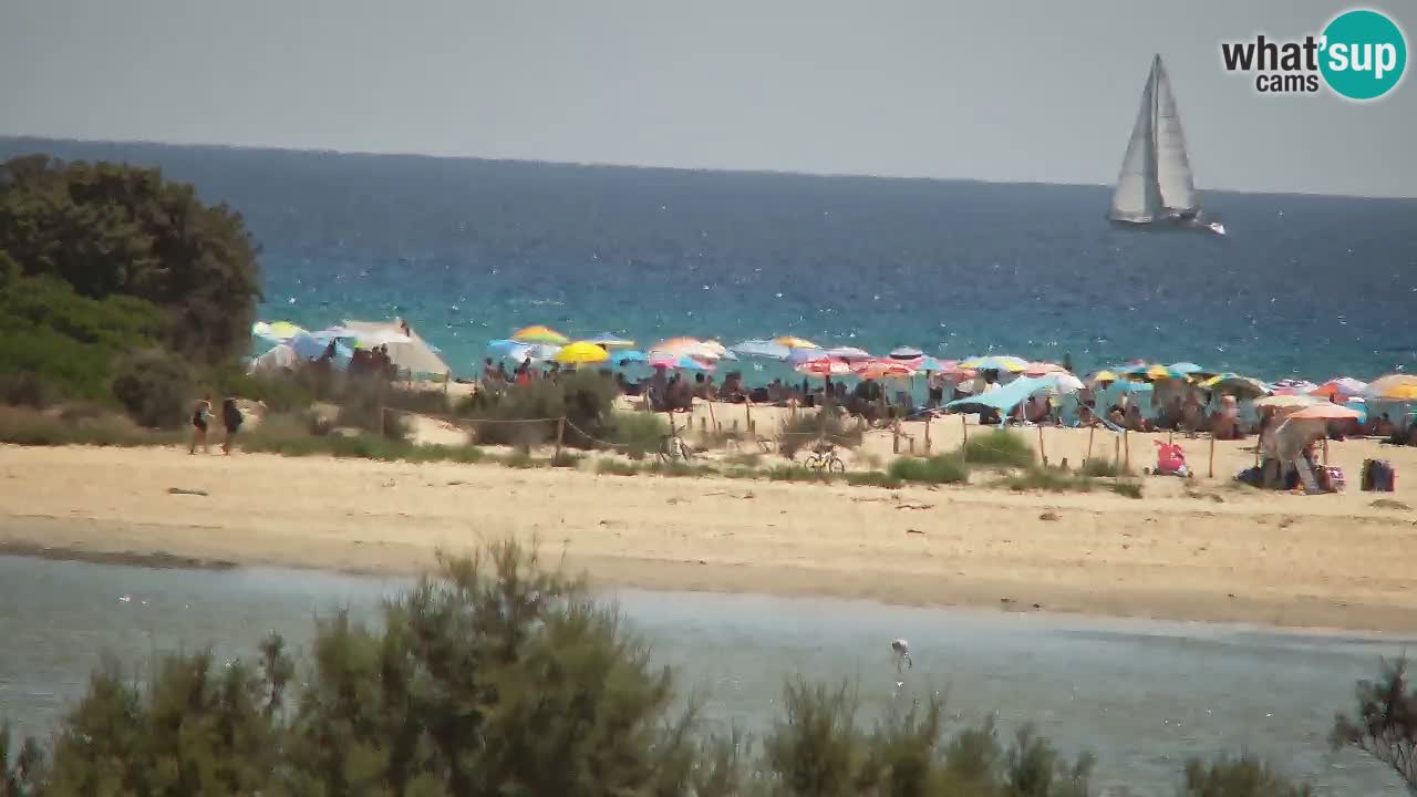 Webcam Chia – Vue en direct de la plage Su Giudeu
