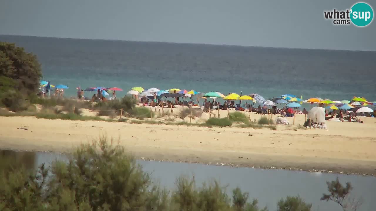 Webcam Chia – Live View of Su Giudeu Beach