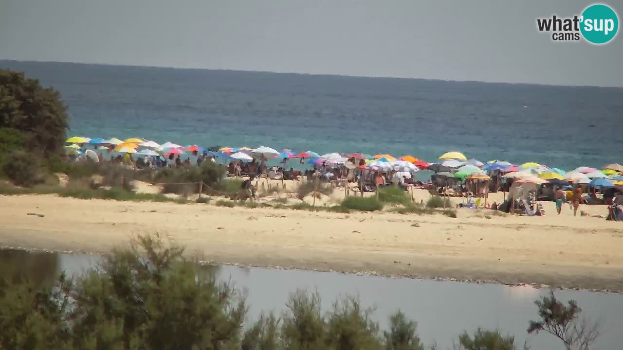 Web kamera Chia – Pogled uživo na plažu Su Giudeu